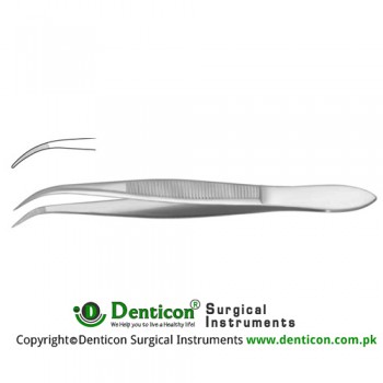 Splinter Forcep Curved - Serrated Jaws Stainless Steel, 11.5 cm - 4 1/2"